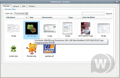 TinyBrowser (plugin for TinyMCE editor