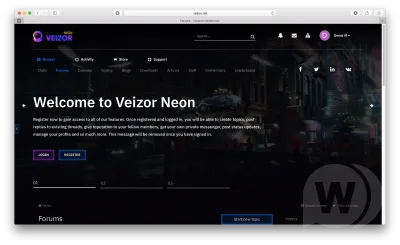 Veizor Neon
