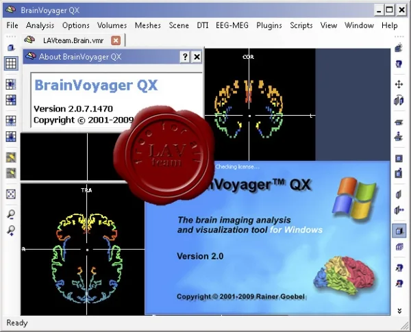 Brain Innovation BrainVoyager QX