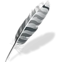 Wing IDE Pro 11.0.6 Windows/Linux/macOS