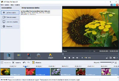 AVS Video ReMaker