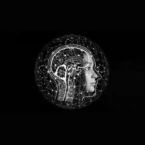 Udemy – The Complete Personal Development Course – 22 Courses in 1 2024-12