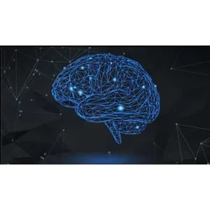 Udemy – Neuroplasticity Masterclass: Unleash The Power Of Your Brain 2025-4