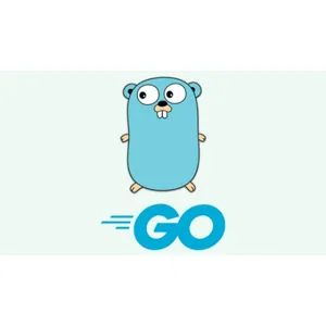 Udemy – Build a good structure with golang (go, gin, mysql, gorm) 2024-5
