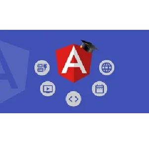 Udemy – Angular Material In Depth (Angular 20) 2025-6