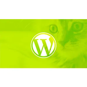 Udemy – WordPress for Beginners: Create a Website Step by Step 2025-5