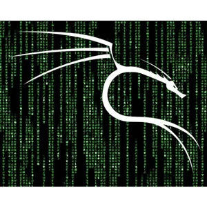 Udemy – Professional Ethical Hacker with Kali Linux v2025 2025-5