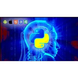 Udemy – Python Developer | Complete course 2024-12