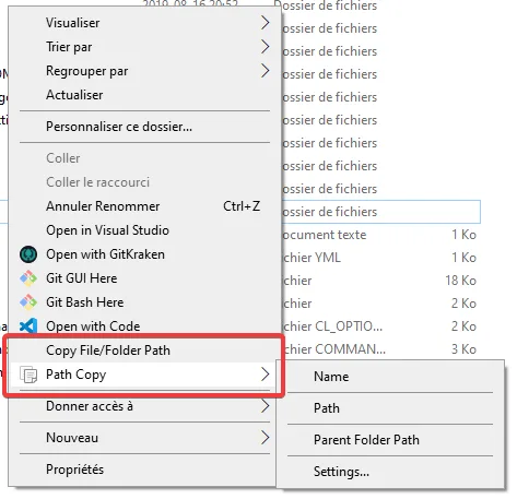 Path Copy Copy