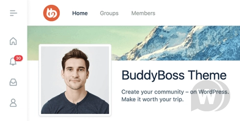 BuddyBoss Platform PRO