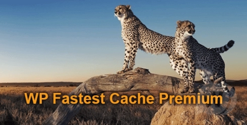 WP Fastest Cache Premium