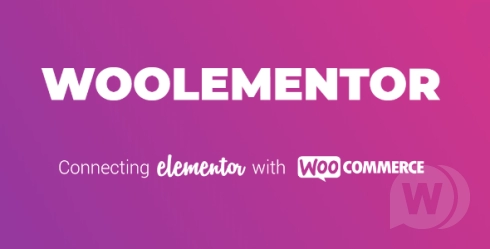 CoDesigner Pro (Formerly Woolementor