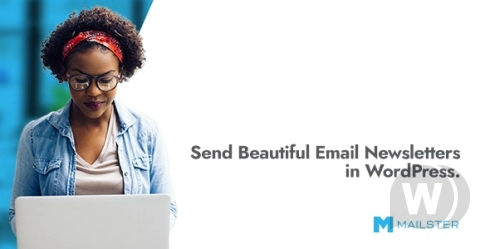 Mailster email newsletter plugin for WordPress