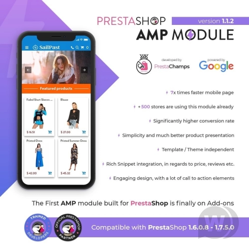 Module PROFESSIONAL AMP PAGES