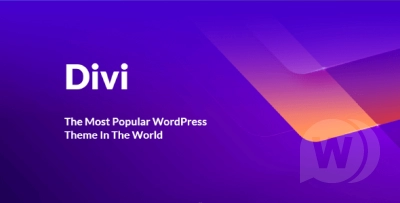 Divi Theme