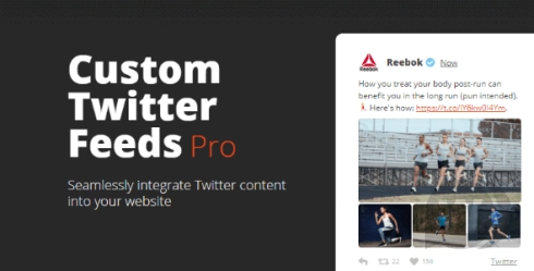 Custom Twitter Feeds Pro