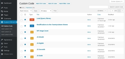 Simple Custom CSS and JS PRO