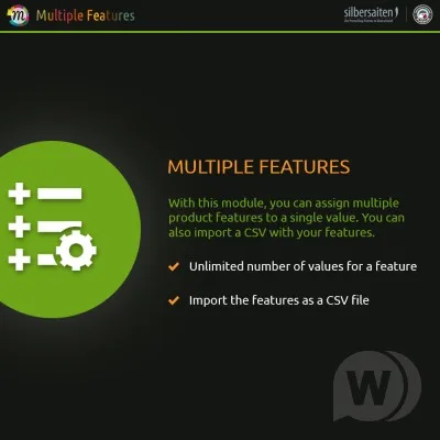 Module Multiple Product Features incl. Features Import